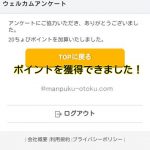 ちょびリッチ体験記№3(アンケート)